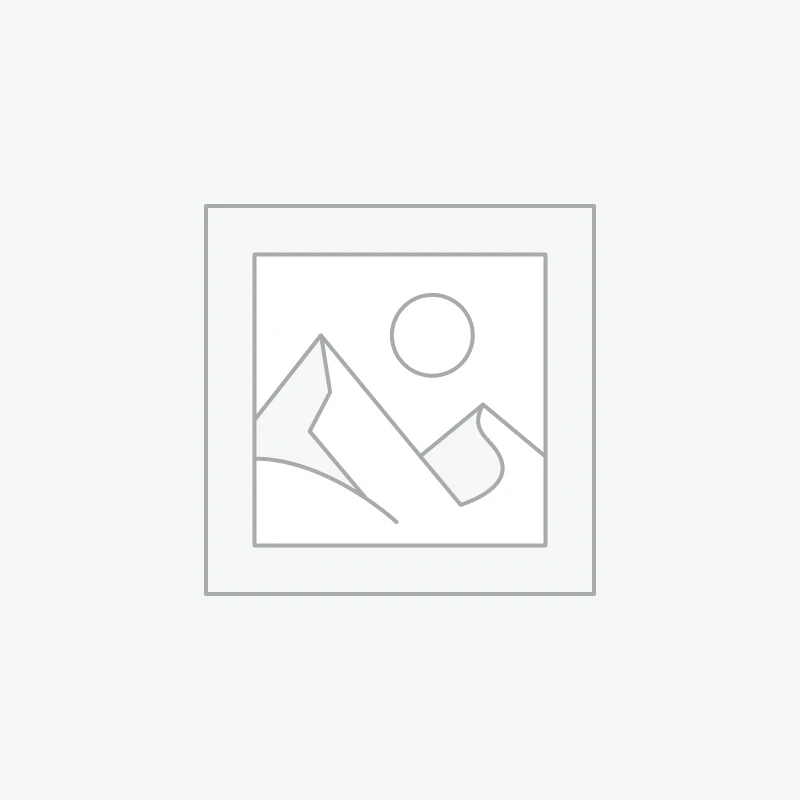 EPB/电子驱车制动（新能源）