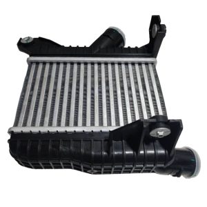 X01-11190032-P 波箱散热器 L