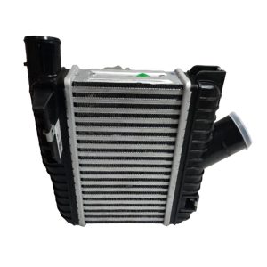 X01-11190033-P 波箱散热器 R